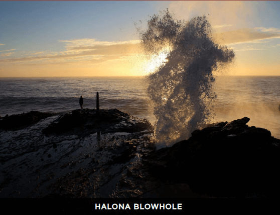 Beauty and the Feast: an Ultimate Circle Island Experience from Ko Olina