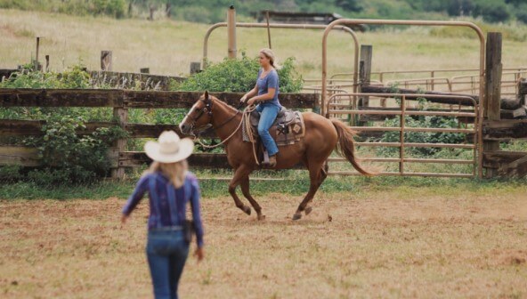 1 Hour Horsemanship Experience – North Shore